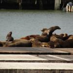 San Francisco - Fischerman Wharf